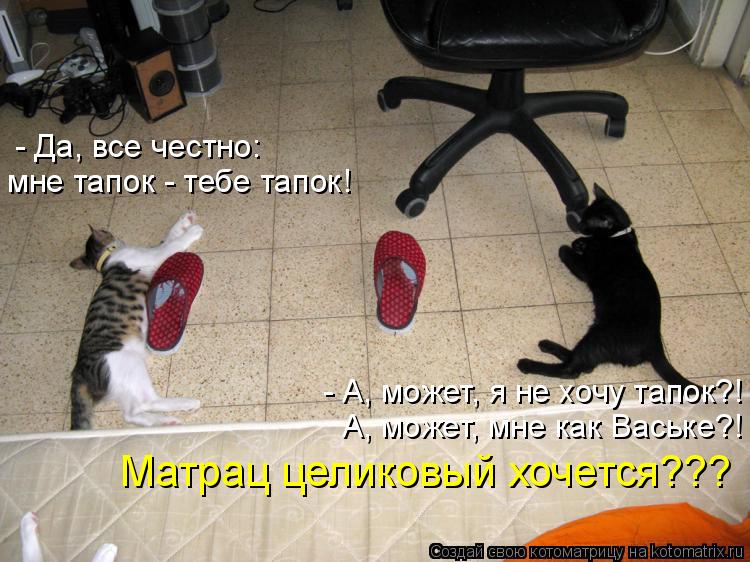 - Да, все честно: мне тапок - тебе тапок! - А, может, я не хочу тапок?! А, может, мне как Ваське?! Ма... Котоматрица: - Да, все честно: мне тапок - тебе тапок! - А, может, я не хочу тапок?! А, может, мне как Ваське?! Матрац целиковый хочется???