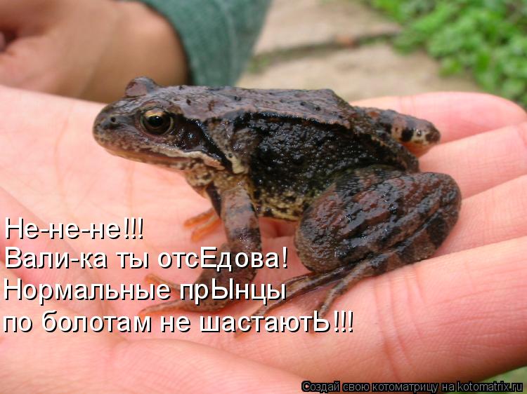 Не-не-не!!! Вали-ка ты отсЕдова! Нормальные прЫнцы по болотам не шастаютЬ!!!... Котоматрица: Не-не-не!!! Вали-ка ты отсЕдова! Нормальные прЫнцы по болотам не шастаютЬ!!!