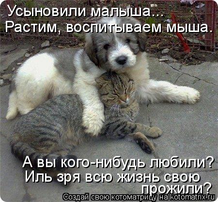 Усыновили малыша... Растим, воспитываем мыша. А вы кого-нибудь любили? Иль зря всю жизнь свою прожил... Котоматрица: Усыновили малыша... Растим, воспитываем мыша. А вы кого-нибудь любили? Иль зря всю жизнь свою прожили?