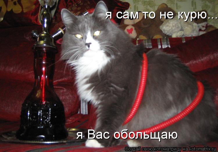 я сам то не курю... я Вас обольщаю... Котоматрица: я сам то не курю... я Вас обольщаю