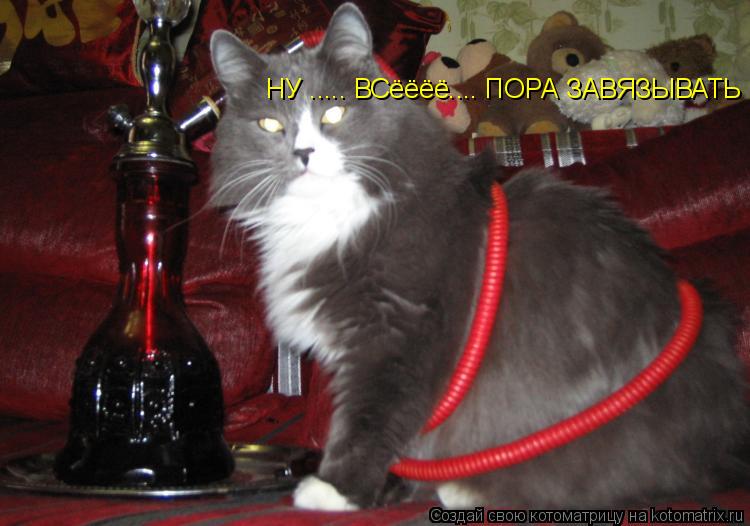 НУ ..... ВСёёёё.... ПОРА ЗАВЯЗЫВАТЬ... Котоматрица: НУ ..... ВСёёёё.... ПОРА ЗАВЯЗЫВАТЬ
