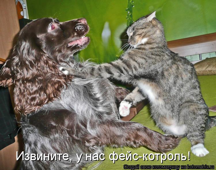 Извините, у нас фейс-котроль!... Котоматрица: Извините, у нас фейс-котроль!