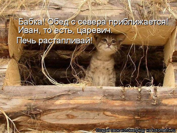 Бабка! Обед с севера приближается! Иван, то есть, царевич. Печь растапливай!... Котоматрица: Бабка! Обед с севера приближается! Иван, то есть, царевич. Печь растапливай!
