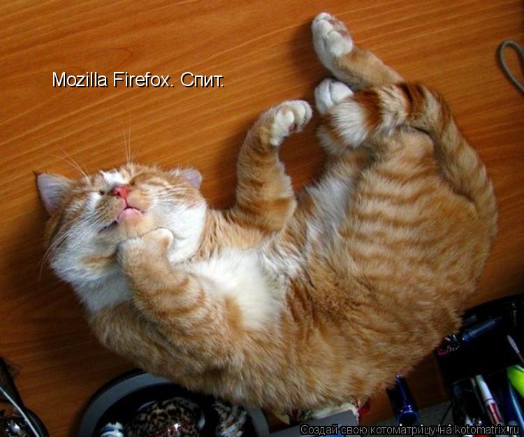 Mozilla Firefox. Спит.... Котоматрица: Mozilla Firefox. Спит.