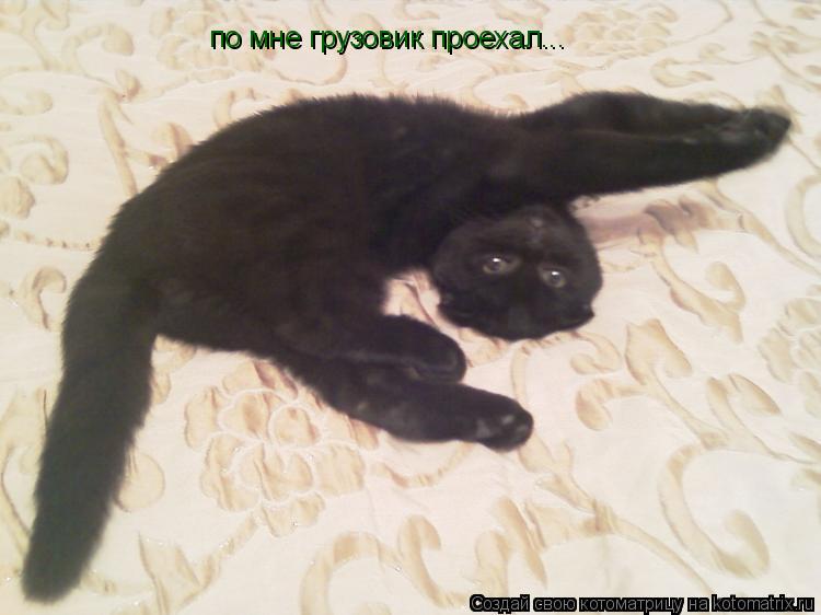 по мне грузовик проехал...... Котоматрица: по мне грузовик проехал...