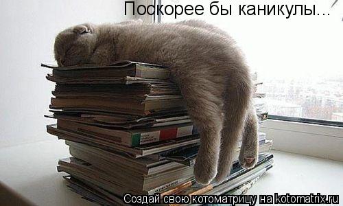 Поскорее бы каникулы...... Котоматрица: Поскорее бы каникулы...
