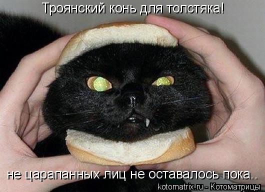 Троянский конь для толстяка! не царапанных лиц не оставалось пока..... Котоматрица: Троянский конь для толстяка! не царапанных лиц не оставалось пока..