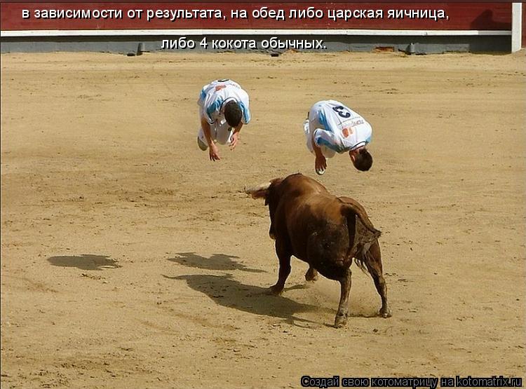 в зависимости от результата, на обед либо царская яичница, либо 4 кокота обычных.... Котоматрица: в зависимости от результата, на обед либо царская яичница, либо 4 кокота обычных.