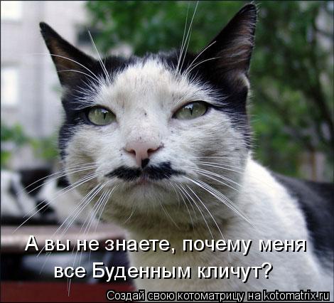 А вы не знаете, почему меня все Буденным кличут?... Котоматрица: А вы не знаете, почему меня все Буденным кличут?