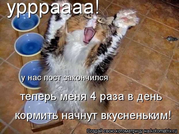 уррраааа! у нас пост закончился теперь меня 4 раза в день кормить начнут вкусненьким!... Котоматрица: уррраааа! у нас пост закончился теперь меня 4 раза в день кормить начнут вкусненьким!