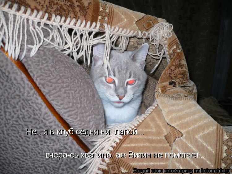 вчера-сь хватило, аж Визин не помогает... Не.. я в клуб сёдня ни лапой...... Котоматрица: вчера-сь хватило, аж Визин не помогает... Не.. я в клуб сёдня ни лапой...