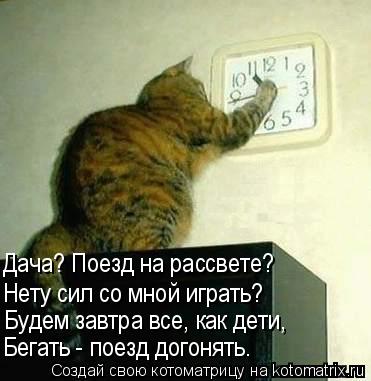 http://kotomatrix.ru/images/lolz/2010/07/22/635405.jpg