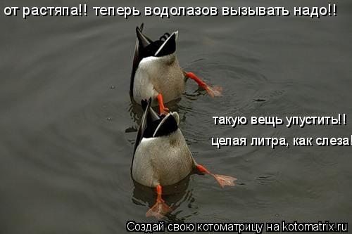 от растяпа!! теперь водолазов вызывать надо!! целая литра, как слеза!! такую вещь упустить!!... Котоматрица: от растяпа!! теперь водолазов вызывать надо!! целая литра, как слеза!! такую вещь упустить!!