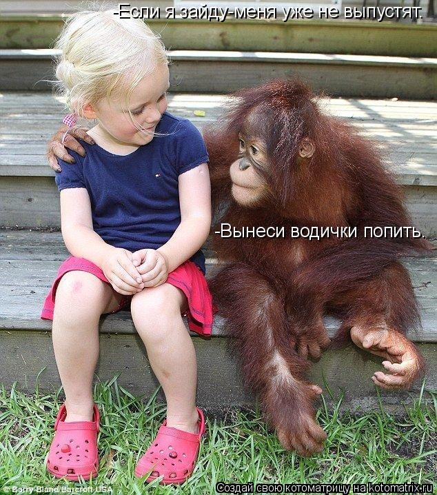 -Вынеси водички попить. -Если я зайду-меня уже не выпустят.... Котоматрица: -Вынеси водички попить. -Если я зайду-меня уже не выпустят.