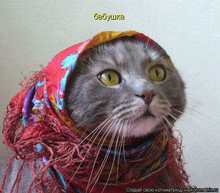 бабушка... Котоматрица: бабушка