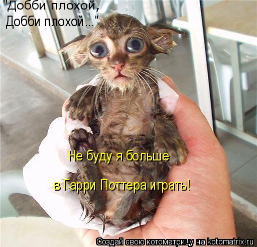 "Добби плохой, Добби плохой..." Не буду я больше в Гарри Поттера играть!... Котоматрица: "Добби плохой, Добби плохой..." Не буду я больше в Гарри Поттера играть!