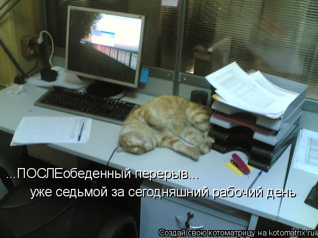 уже седьмой за сегодняшний рабочий день ...ПОСЛЕобеденный перерыв...... Котоматрица: уже седьмой за сегодняшний рабочий день ...ПОСЛЕобеденный перерыв...