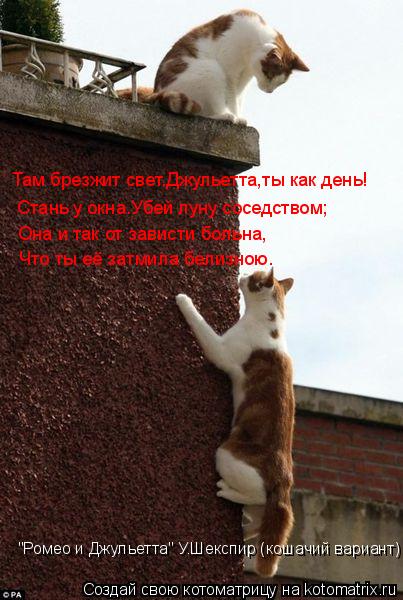 Там брезжит свет.Джульетта,ты как день! Стань у окна.Убей луну соседством; Она и так от зависти больн... Котоматрица: Там брезжит свет.Джульетта,ты как день! Стань у окна.Убей луну соседством; Она и так от зависти больна, Что ты её затмила белизною. "Ромео и Дж