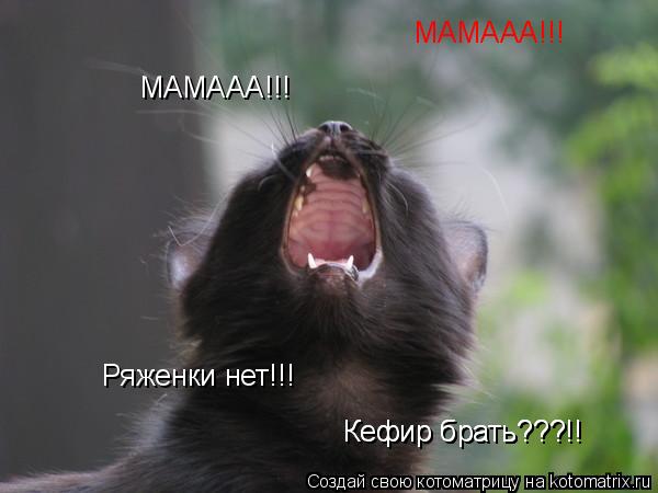МАМААА!!! МАМААА!!! Ряженки нет!!! Кефир брать???!! Кефир брать???!!... Котоматрица: МАМААА!!! МАМААА!!! Ряженки нет!!! Кефир брать???!! Кефир брать???!!