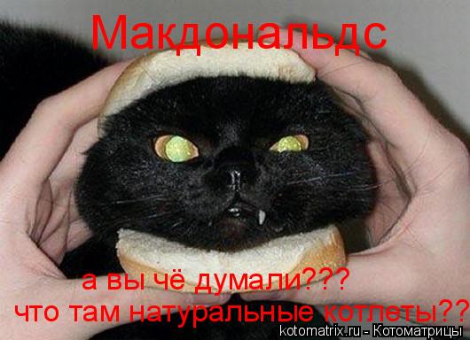 Макдональдс а вы чё думали??? что там натуральные котлеты???... Котоматрица: Макдональдс а вы чё думали??? что там натуральные котлеты???