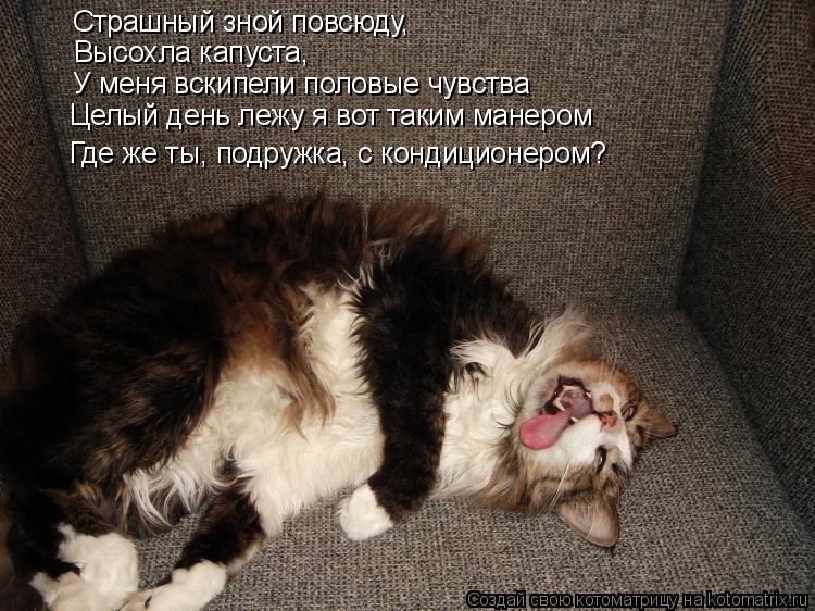 Страшный зной повсюду, Высохла капуста, У меня вскипели половые чувства Целый день лежу я вот таким ... Котоматрица: Страшный зной повсюду, Высохла капуста, У меня вскипели половые чувства Целый день лежу я вот таким манером Где же ты, подружка, с кондицион
