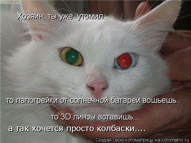 Хозяин, ты уже утомил.. то лапогрейки от солнечной батареи вошьешь.. то 3D линзы вставишь... а так х... Котоматрица: Хозяин, ты уже утомил.. то лапогрейки от солнечной батареи вошьешь.. то 3D линзы вставишь... а так хочется просто колбаски....