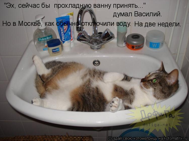 "Эх, сейчас бы прохладную ванну принять..." думал Василий. Но в Москве, как обычно отключили воду. Н... Котоматрица: "Эх, сейчас бы прохладную ванну принять..." думал Василий. Но в Москве, как обычно отключили воду. На две недели.