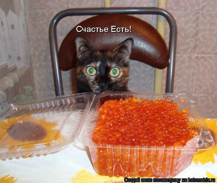 Счастье Есть!... Котоматрица: Счастье Есть!