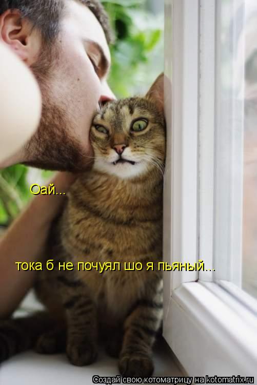 Оай... тока б не почуял шо я пьяный...... Котоматрица: Оай... тока б не почуял шо я пьяный...