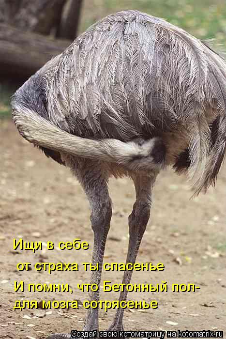 для мозга сотрясенье И помни, что Бетонный пол- Ищи в себе от страха ты спасенье... Котоматрица: для мозга сотрясенье И помни, что Бетонный пол- Ищи в себе от страха ты спасенье