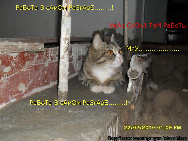 УжАс СкОкА ТаМ РаБоТы РаБоТа В сАмОм РаЗгАрЕ........! РаБоТа В сАмОм РаЗгАрЕ........! МяУ............... Котоматрица: УжАс СкОкА ТаМ РаБоТы РаБоТа В сАмОм РаЗгАрЕ........! РаБоТа В сАмОм РаЗгАрЕ........! МяУ...................