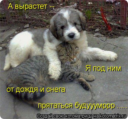 А вырастет -- Я под ним от дождя и снега прятаться будууумррр ......... Котоматрица: А вырастет -- Я под ним от дождя и снега прятаться будууумррр ......