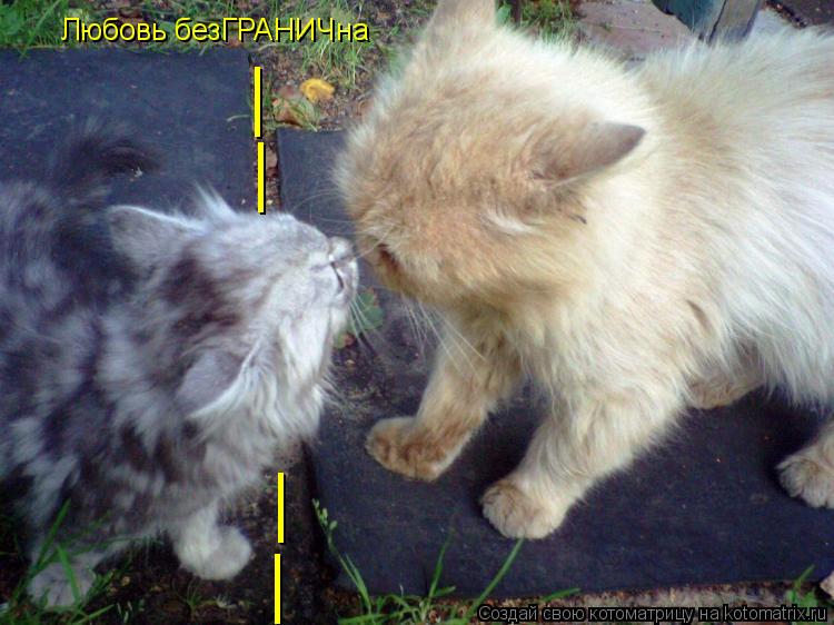 | | | | Любовь безГРАНИЧна... Котоматрица: | | | | Любовь безГРАНИЧна