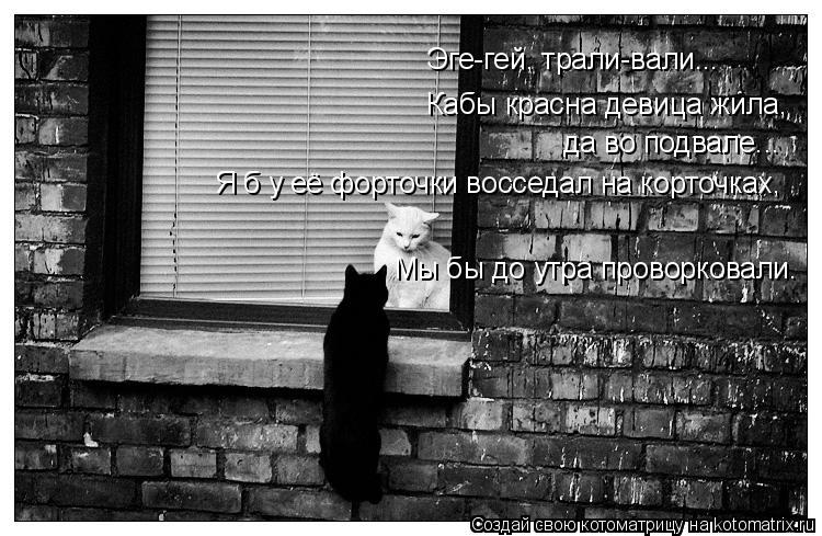 Кабы красна девица жила, Эге-гей, трали-вали... да во подвале... Я б у её форточки восседал на корто... Котоматрица: Кабы красна девица жила, Эге-гей, трали-вали... да во подвале... Я б у её форточки восседал на корточках, Мы бы до утра проворковали.