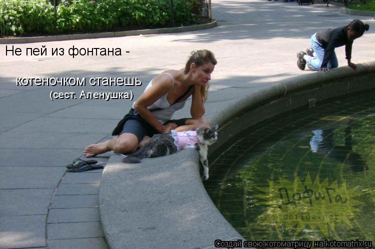 Не пей из фонтана - котеночком станешь (сест. Аленушка)... Котоматрица: Не пей из фонтана - котеночком станешь (сест. Аленушка)