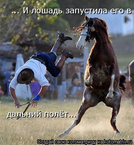 ... И лошадь запустила его в дальний полёт... дальний полёт...... Котоматрица: ... И лошадь запустила его в дальний полёт... дальний полёт...