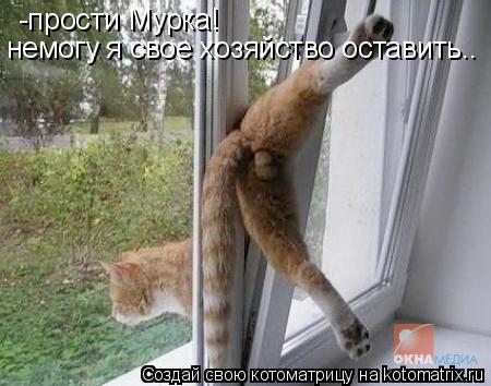 -прости Мурка! немогу я свое хозяйство оставить..... Котоматрица: -прости Мурка! немогу я свое хозяйство оставить..