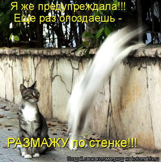Я же предупреждала!!! Еще раз опоздаешь - РАЗМАЖУ по стенке!!!... Котоматрица: Я же предупреждала!!! Еще раз опоздаешь - РАЗМАЖУ по стенке!!!