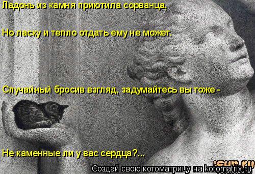 Случайный бросив взгляд, задумайтесь вы тоже - Не каменные ли у вас сердца?... Но ласку и тепло отда... Котоматрица: Случайный бросив взгляд, задумайтесь вы тоже - Не каменные ли у вас сердца?... Но ласку и тепло отдать ему не может. Ладонь из камня приютила с