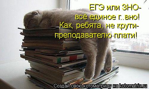 ЕГЭ или ЗНО- всё единое г..вно! Как, ребята, не крути- преподавателю плати!... Котоматрица: ЕГЭ или ЗНО- всё единое г..вно! Как, ребята, не крути- преподавателю плати!