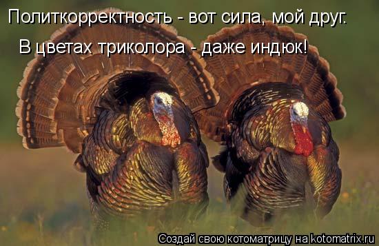 Политкорректность - вот сила, мой друг. В цветах триколора - даже индюк!... Котоматрица: Политкорректность - вот сила, мой друг. В цветах триколора - даже индюк!