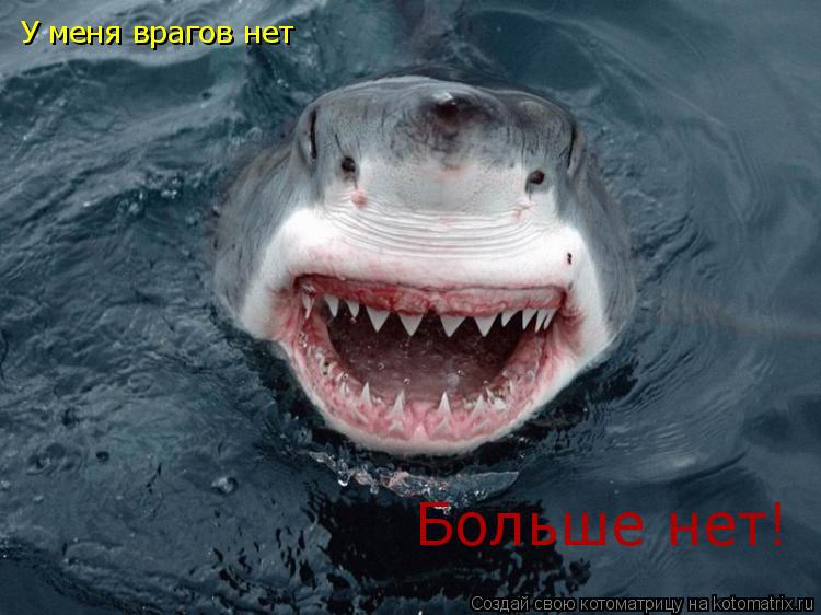 У меня врагов нет Больше нет!... Котоматрица: У меня врагов нет Больше нет!