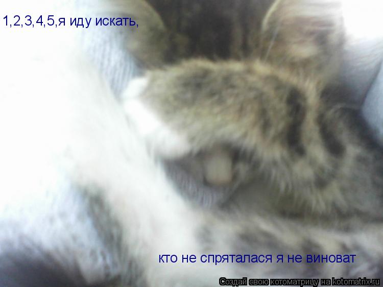 1,2,3,4,5,я иду искать, кто не спряталася я не виноват... Котоматрица: 1,2,3,4,5,я иду искать, кто не спряталася я не виноват
