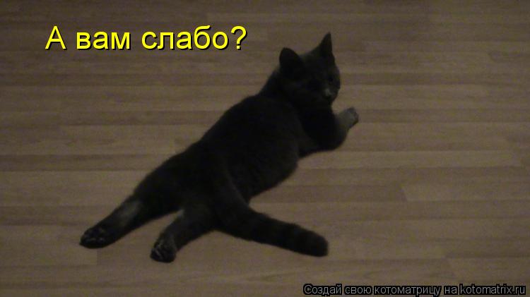 А вам слабо?... Котоматрица: А вам слабо?