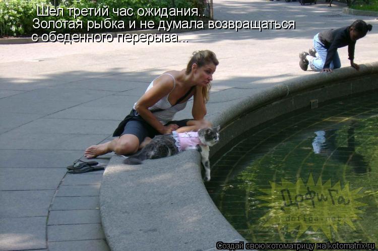 Шел третий час ожидания.. Золотая рыбка и не думала возвращаться с обеденного перерыва...... Котоматрица: Шел третий час ожидания.. Золотая рыбка и не думала возвращаться с обеденного перерыва...
