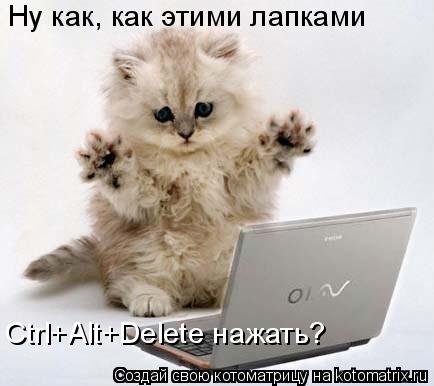 Ну как, как этими лапками Ctrl+Alt+Delete нажать?... Котоматрица: Ну как, как этими лапками Ctrl+Alt+Delete нажать?