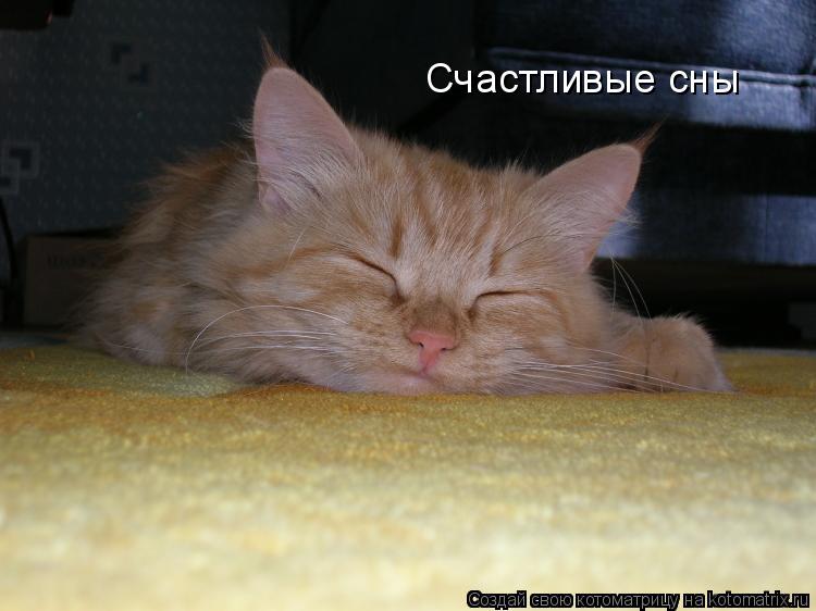 Счастливые сны... Котоматрица: Счастливые сны