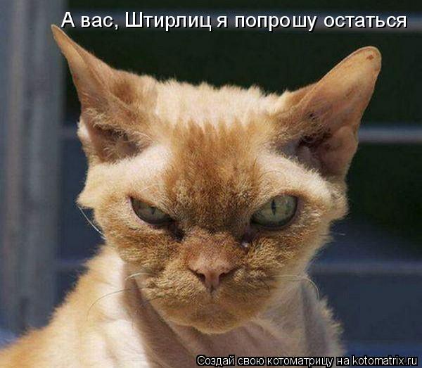 А вас, Штирлиц я попрошу остаться... Котоматрица: А вас, Штирлиц я попрошу остаться