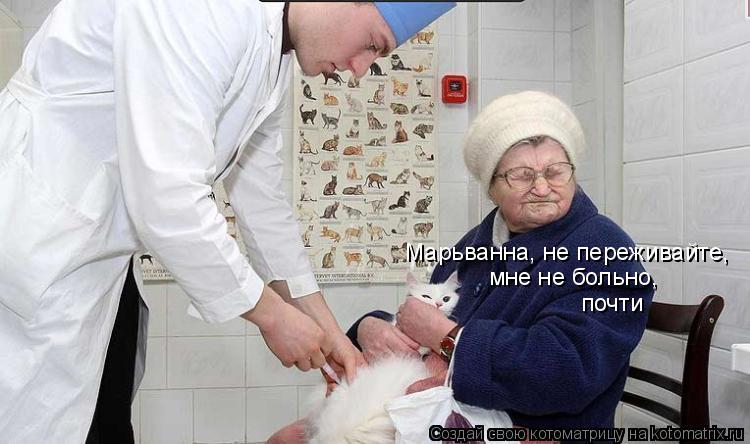 Марьванна, не переживайте, мне не больно, почти... Котоматрица: Марьванна, не переживайте, мне не больно, почти