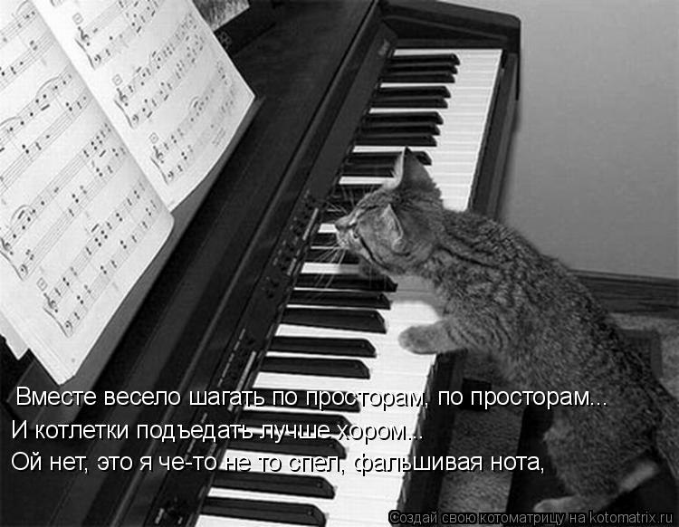 Вместе весело шагать по просторам, по просторам... И котлетки подъедать лучше хором... Ой нет, это я ... Котоматрица: Вместе весело шагать по просторам, по просторам... И котлетки подъедать лучше хором... Ой нет, это я че-то не то спел, фальшивая нота,